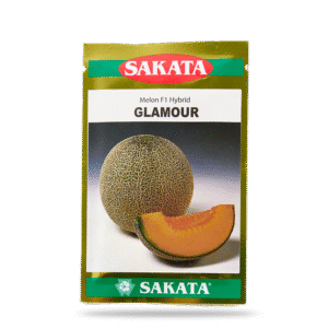 DƯA LƯỚI GLAMOUR F1 ( Dưa Lưới Nhật )