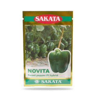 HẠT GIỐNG ỚT CHUÔNG XANH NOVIATA F1