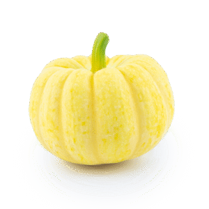 HẠT GIỐNG BÍ NHẬT MINI SV-7201 F1