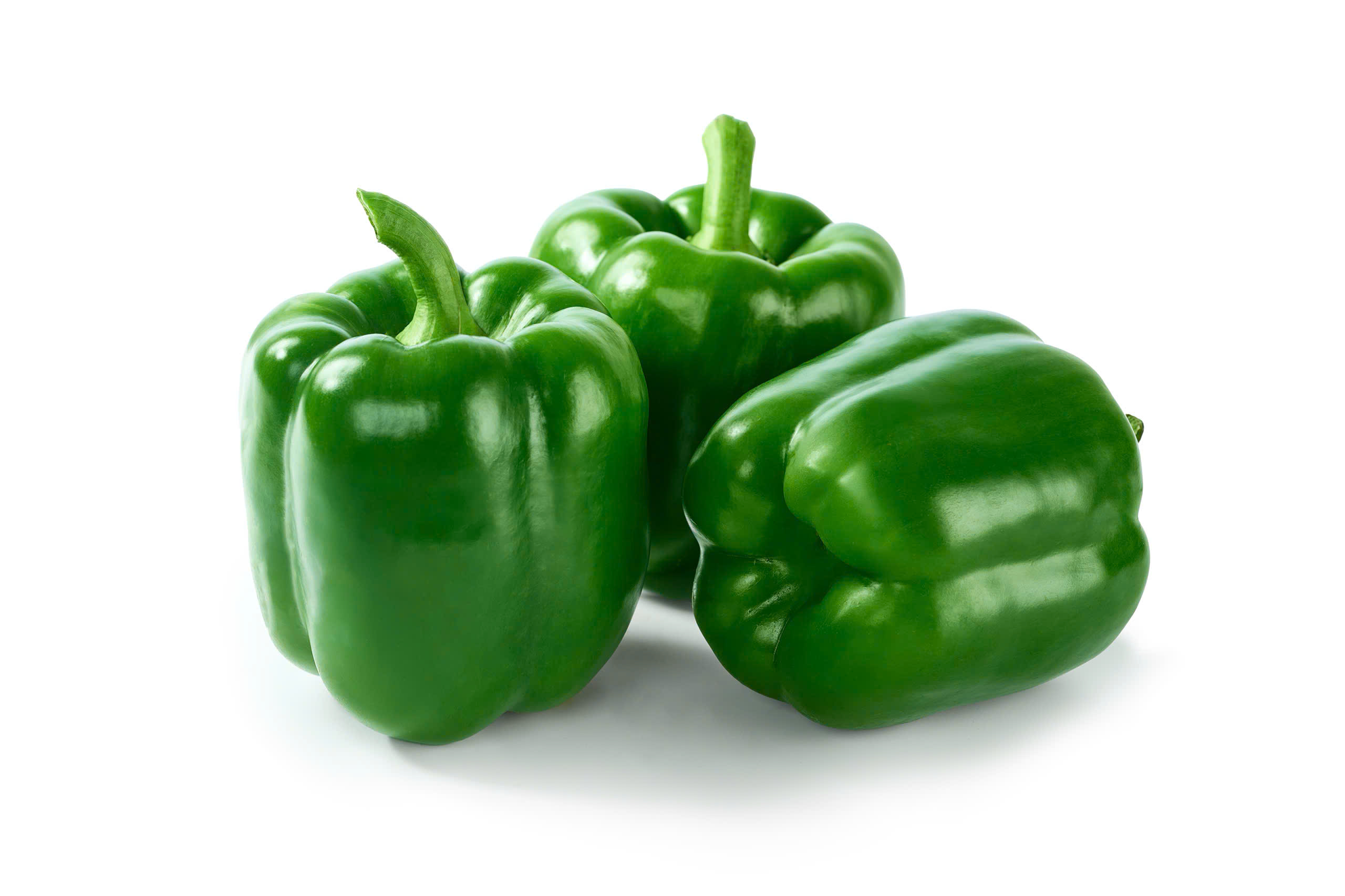 hat giong uot chuong noviata